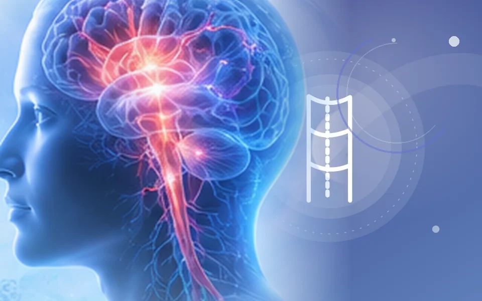 Carotid Endarterectomy medical care illustration, Aarunya Clinic Noida
