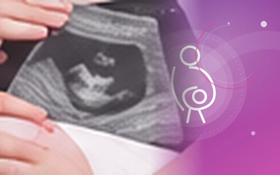 Pregnancy care service image